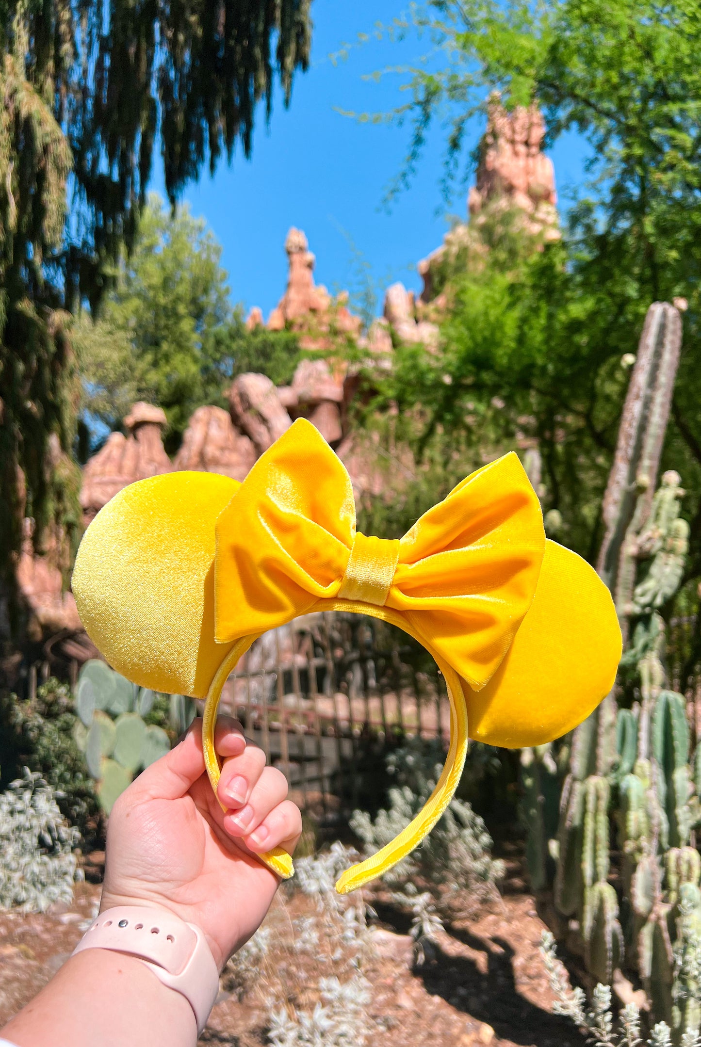 Yellow Velvet Ears