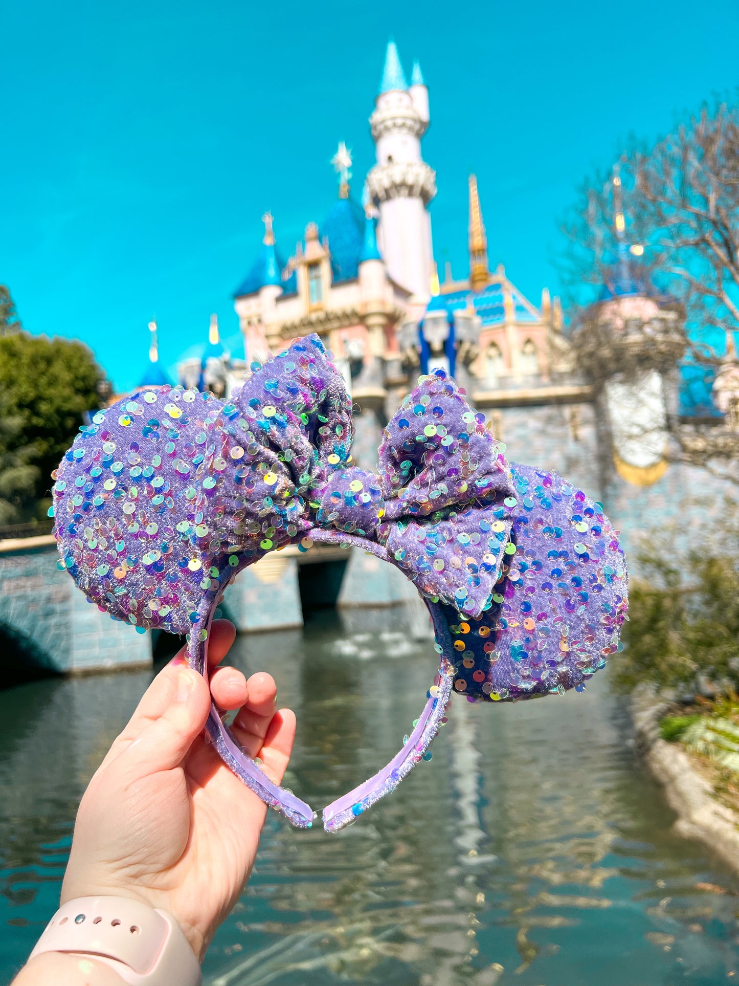 Purple Princess Ears
